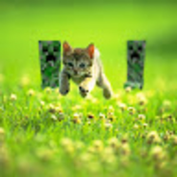 Meet your Posher, Joshua - Picture 1 of 1